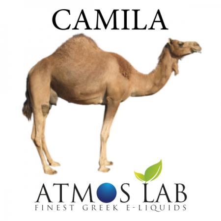 CAMILA ATMOS LAB